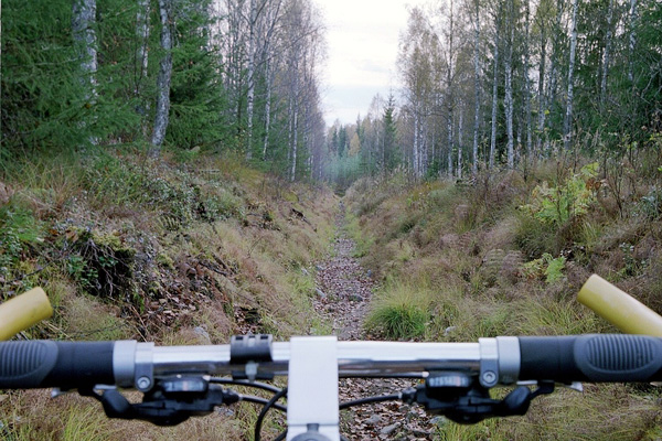 MTB i Forsbyskog